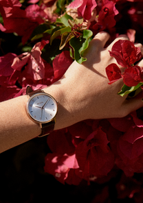 
Arrow Leather - Oro rosa / Argento View 6